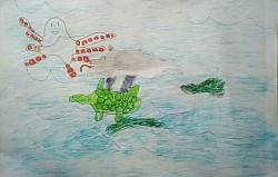 A beautiful picture of toobs swimming with a turtle and licking an octopus' armpit!
