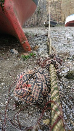 And discovered the knot that had made itself around a submerged line, and had prevented us from hauling her in.