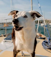 toobs on the foredeck