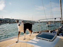 Taking a stroll on the foredeck