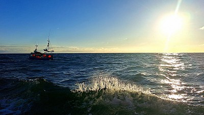 A local working trawler waves us by